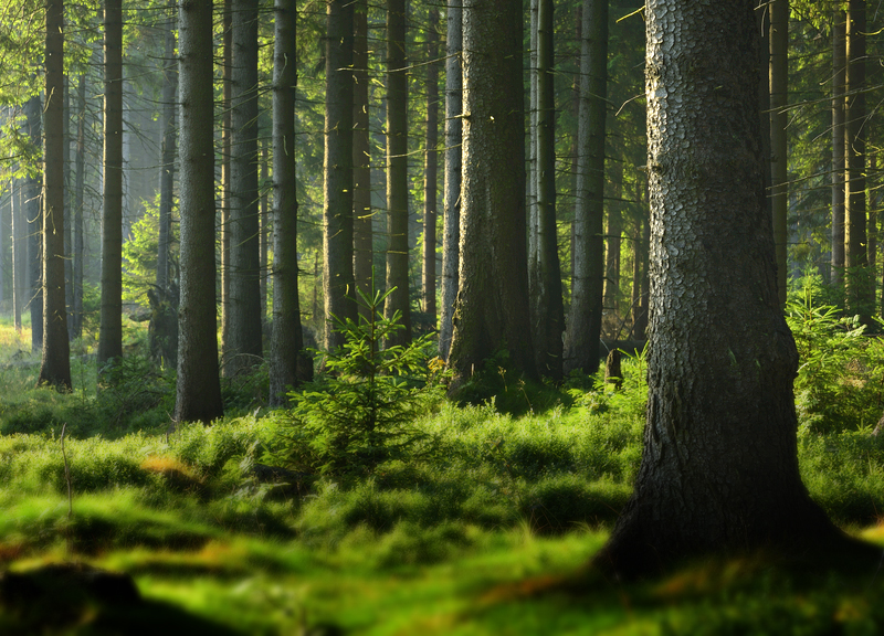 普瑞東方化學(xué)優(yōu)勢(shì)三